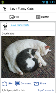 I love funny cats Screenshots 5