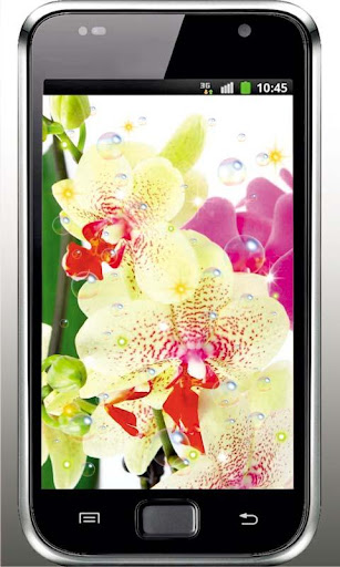 Orchid Amazing live wallpaper