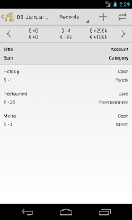 Household Budget Screen 2
