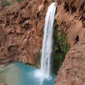 Mooney Fall by Gabi Fulcher - Landscapes Waterscapes