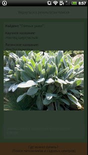 Free Download Plants APK for Android