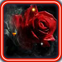 Gothic Rose Live Wallpaper icon