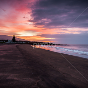 Golden Sunset by Rui Medeiros - Landscapes Beaches