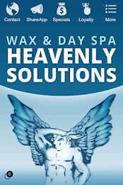 Heavenly Solutions poster 1