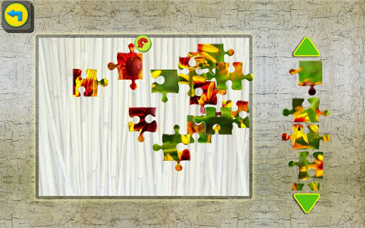 【免費家庭片App】Flowers Jigsaw Puzzle-APP點子