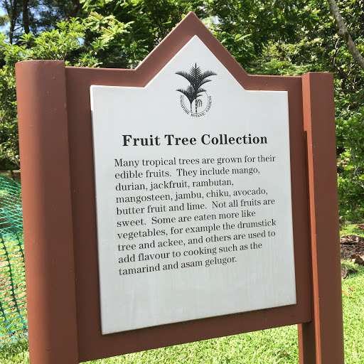 Fruit Tree Collection