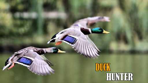 Duck Hunter 3D