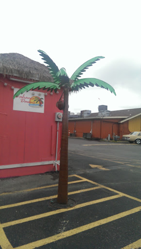 Bahama Palm Art