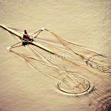 Early Morning Sculler by Tamsin Carlisle -  