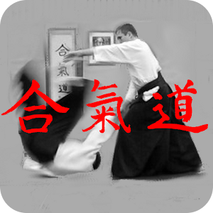 Aikido Kyu Review logo