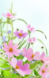 How to get Gentle Flowers Live Wallpaper 3.0 mod apk for pc