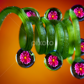by Charlie Rosadi - Nature Up Close Natural Waterdrops