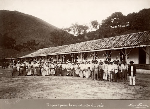 Departure for the coffee harvest, Vale do Paraíba. Brazil