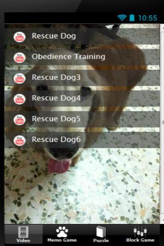 Pet Rescue Dog Happy