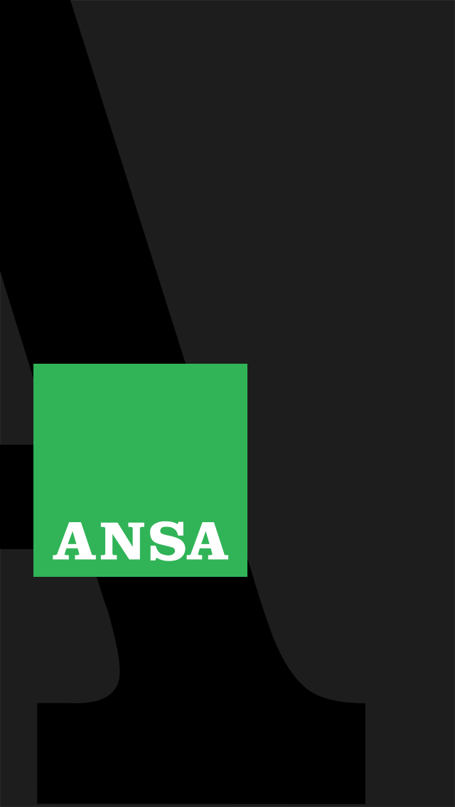 Ansa Mobile Screen 1