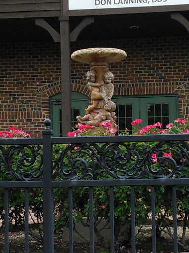 Argyle Flower Fountain