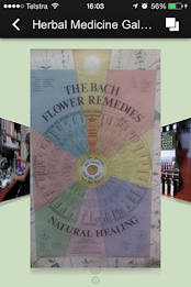 Naturopathic Health poster 14