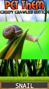 Free Pet Them: Creepy Crawlies APK for Android