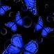 3D Butterfly 99