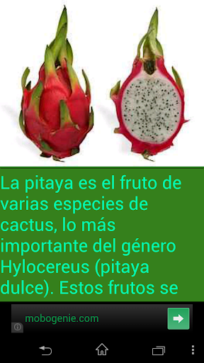 frutas exoticas