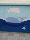 Дельфин На Стене