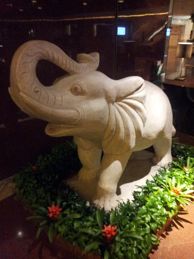Guanzhou Elephant