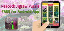 Peacock Jigsaw Puzzles APK