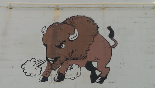 Buffalo art On building