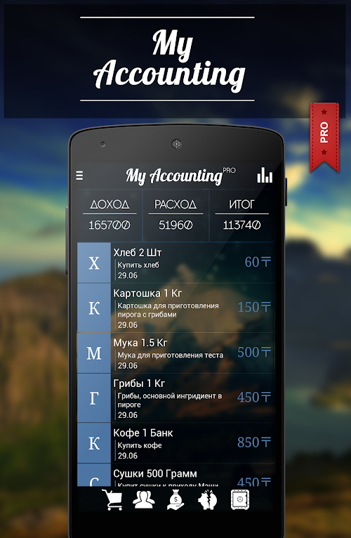 Android application My Accounting PRO screenshort