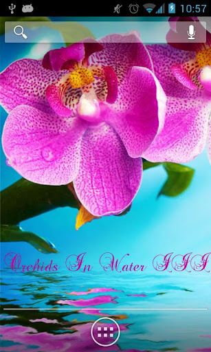 Orchids In Water III