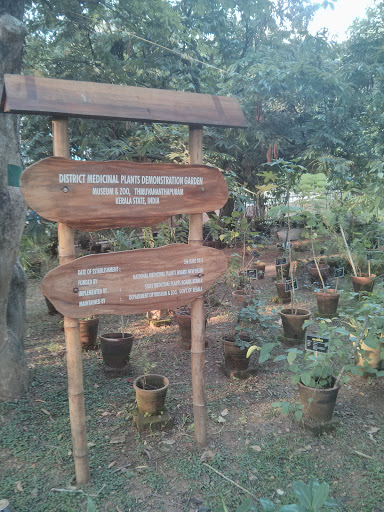 TVM Medicinal & Ayurveda Garden