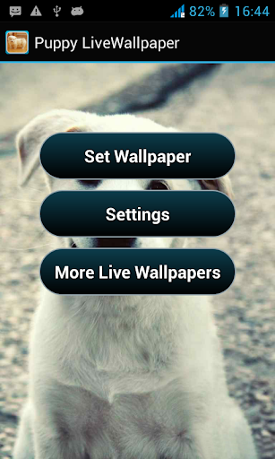 Puppy Live Wallpaper