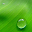 Daily Bible Verses Download on Windows