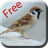 Bird Sounds & Ringtones mobile app icon