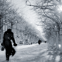 Street Full Snow Live Wallpape logo