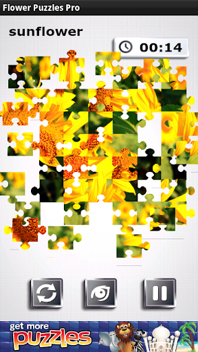 Flower Puzzles Pro