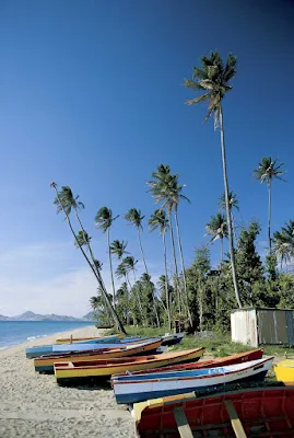 Fishermen's boats line a beach on Nevis.