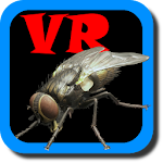 VR Fly Apk