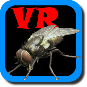 VR Fly 1.0