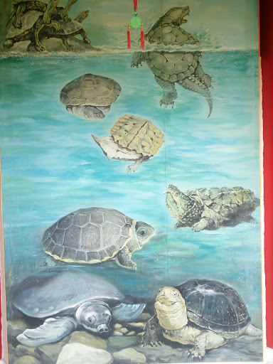 Turtles Through the Ages Mural