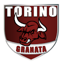 Torino Granata logo