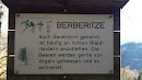 Waldlehrpfad - Berberitze