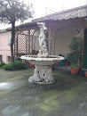 Fontana Della Casa Di Riposo