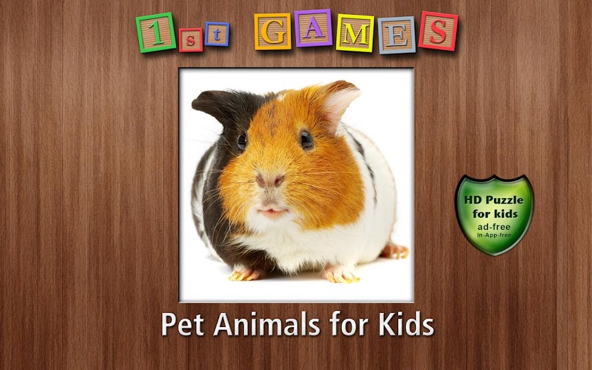 1st Games Pet Animals for Kids Screen 1
