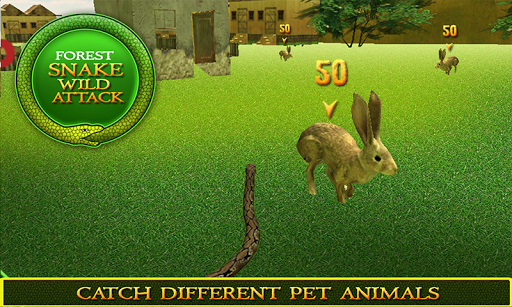 免費下載模擬APP|Forest Snake Wild Attack 3D app開箱文|APP開箱王