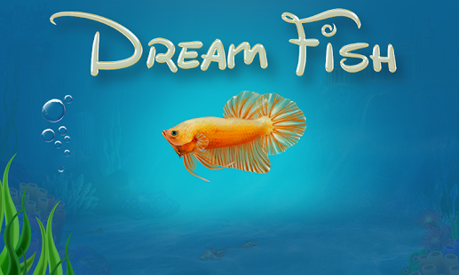 Dream Fish Seasons
