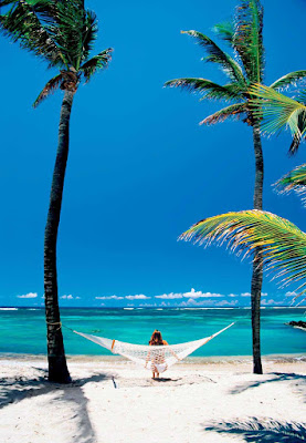 Unplug and pull up a hammock during a day on a tropical beach during your Windstar cruise.