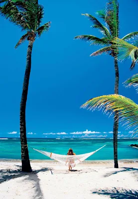 Unplug and pull up a hammock during a day on a tropical beach during your Windstar cruise.