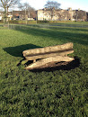 Big Log Bench