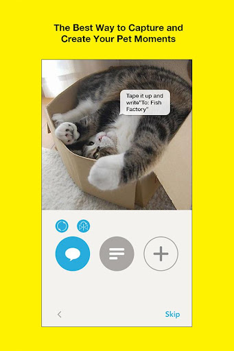 免費下載攝影APP|Bo -Sticker Cam for Pet Lovers app開箱文|APP開箱王